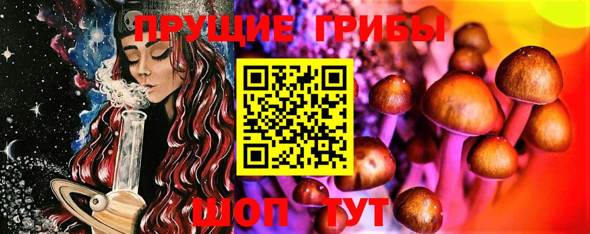 Галлюциногенные грибы ЛСД  Галлюциногенные грибы мицелий  Тамбов  Вход с VPN 